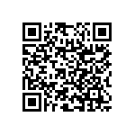 RNC55H1381BSRE6 QRCode