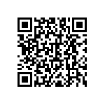 RNC55H1381BSRSL QRCode