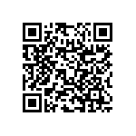 RNC55H13R2BSB14 QRCode