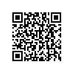 RNC55H13R3BRB14 QRCode