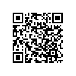RNC55H13R3BSBSL QRCode