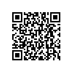 RNC55H1651BSBSL QRCode