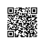 RNC55H1671DSBSL QRCode