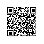 RNC55H1690BSBSL QRCode