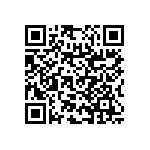 RNC55H1691BSBSL QRCode