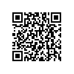 RNC55H16R9DSRE6 QRCode