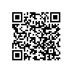 RNC55H16R9DSRSL QRCode