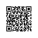 RNC55H1763BSRSL QRCode