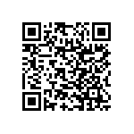 RNC55H1913FRBSL QRCode