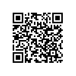 RNC55H1960BSB14 QRCode