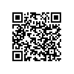 RNC55H1963BSBSL QRCode