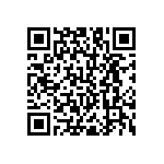 RNC55H2051BSBSL QRCode