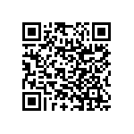 RNC55H2132BPBSL QRCode