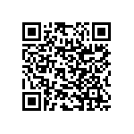 RNC55H2213FSBSL QRCode