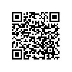 RNC55H2463BSBSL QRCode