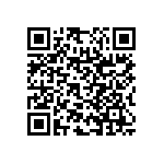 RNC55H2911BSBSL QRCode