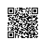 RNC55H2913BSBSL QRCode