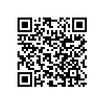 RNC55H3010BSRSL QRCode