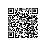 RNC55H3011DSBSL QRCode