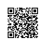 RNC55H3013BSR36 QRCode