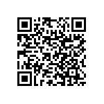 RNC55H3090BRR36 QRCode