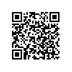 RNC55H3090BSBSL QRCode