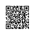 RNC55H30R9FSRSL QRCode