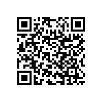 RNC55H3161BSBSL QRCode