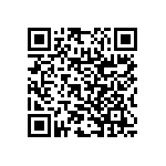 RNC55H3202DSBSL QRCode