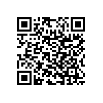 RNC55H3322BSBSL QRCode