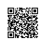 RNC55H3831BSBSL QRCode