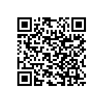 RNC55H3831FSBSL QRCode