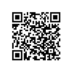 RNC55H3832BSRSL QRCode