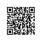 RNC55H3833FSR36 QRCode