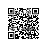 RNC55H4022BSRSL QRCode