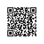 RNC55H41R2FSRE6 QRCode