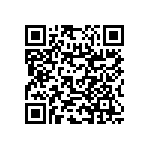 RNC55H4593BSB14 QRCode