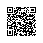 RNC55H61R2BSBSL QRCode