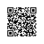 RNC55J1001DSRE6 QRCode