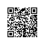 RNC55J1002BRRSL QRCode