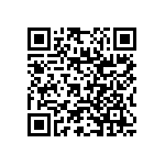 RNC55J1002DRRE6 QRCode