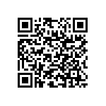 RNC55J1033BSRE6 QRCode