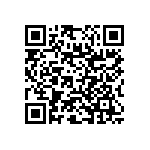 RNC55J1102FSRE6 QRCode