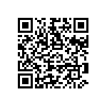 RNC55J1313BSB14 QRCode