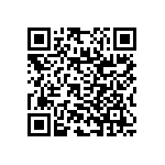 RNC55J1332BSBSL QRCode