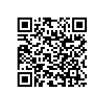 RNC55J1333BSRSL QRCode