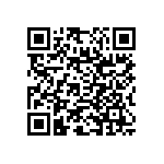 RNC55J1333FSRE6 QRCode