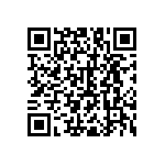 RNC55J1381BSB14 QRCode