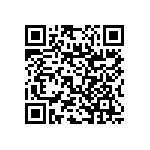 RNC55J13R0FSB14 QRCode