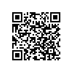 RNC55J1622DSRE6 QRCode